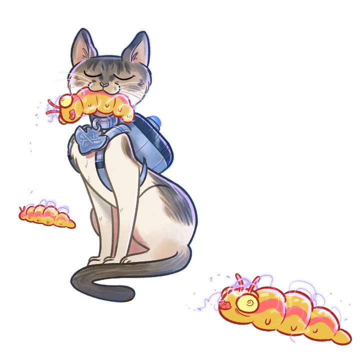 Intigriti cat